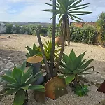 Casa Da Moleirinha * São Pedro da Cadeira