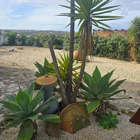 Casa Da Moleirinha * Sao Pedro da Cadeira